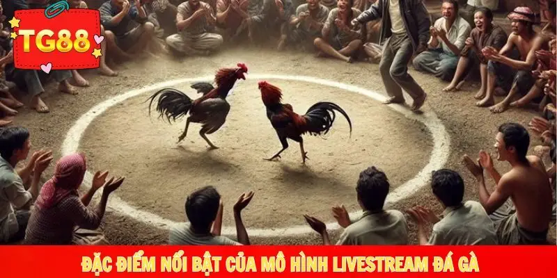 Những đặc điểm nổi bật của mô hình livestream đá gà